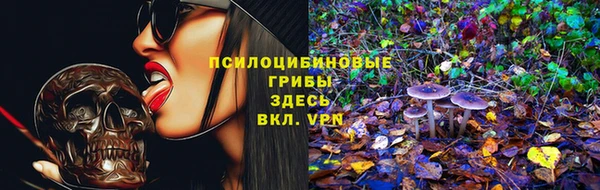 эйфоретик Бронницы
