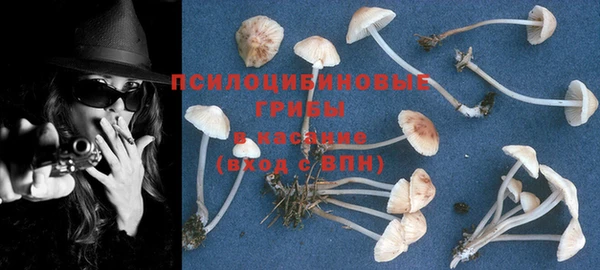 mix Бородино