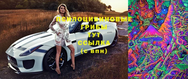 mix Бородино