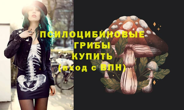 эйфоретик Бронницы