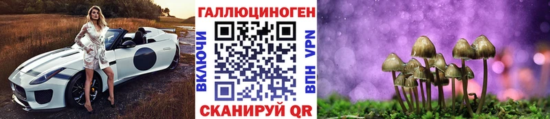Псилоцибиновые грибы прущие грибы  закладки  Видное 